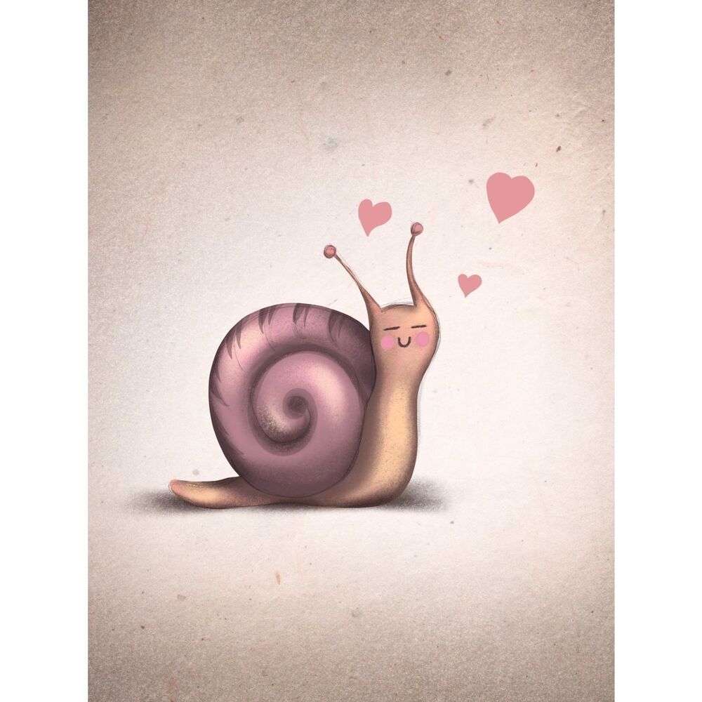 Custom Spiral Shell Snail Fridge Magnet Home Kitchen Decor
